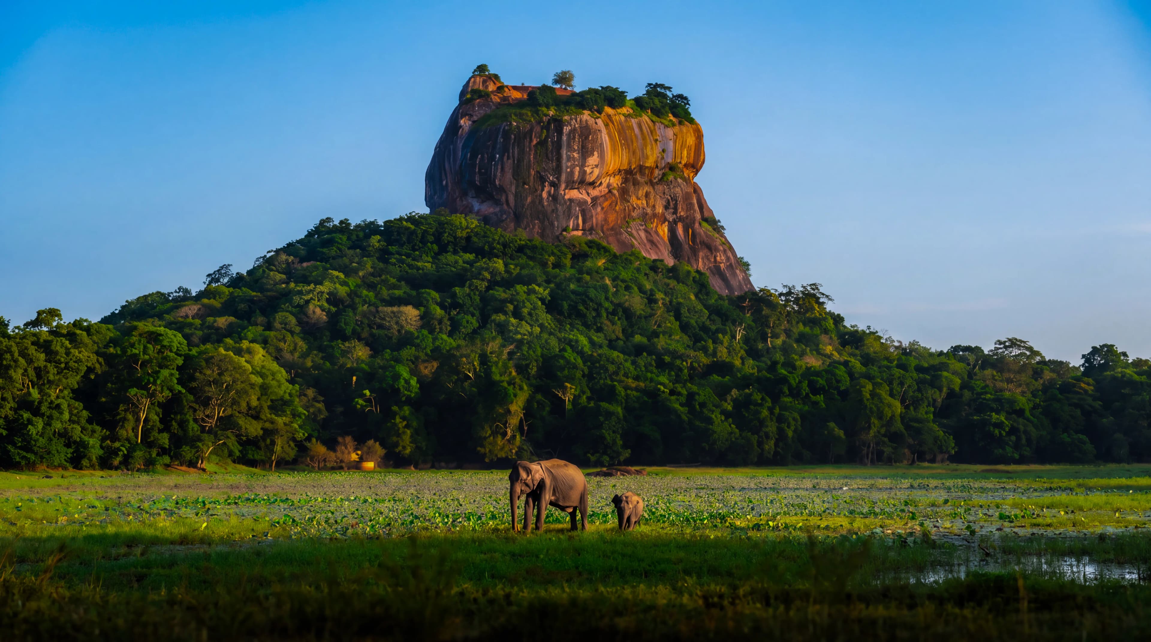 Travelers exploring ancient stone temple ruins in Sri Lanka