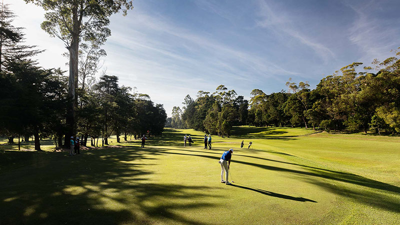 Play golf in Nuwara Eliya