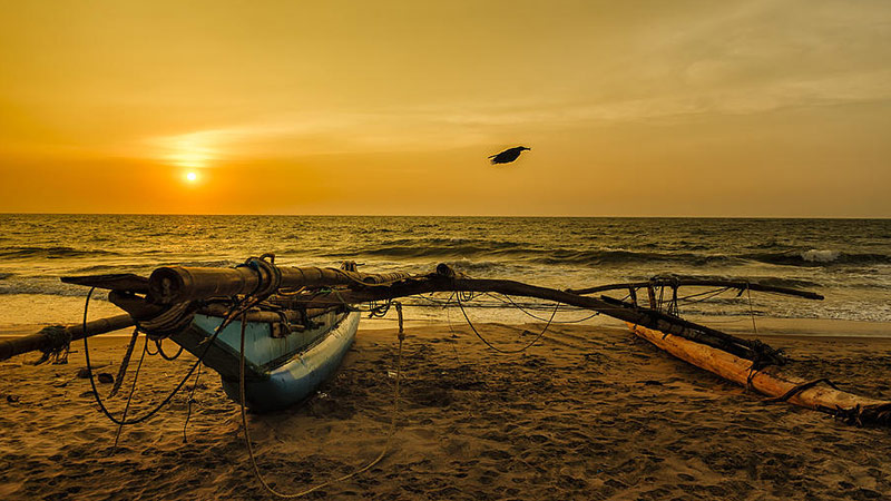 Negombo beach sunset